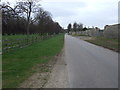 Road towards Welbeck Abbey