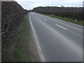 SK5476 : A60 towards Worksop by JThomas