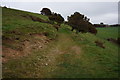 Track to Carswell Farm