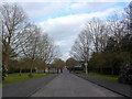 Looking down Old Contemptibles Avenue towards Farnborough Road