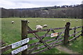 Winsford : Cricket Club Pitch