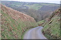 West Somerset : Upcott Lane