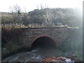 Bridge over Skinningrove Beck