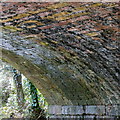 Tiny stalactites under canal bridge