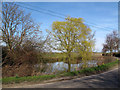 Pond at Pinch Timber Farm