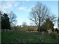 St Mary, Chilton Foliat: churchyard (B)