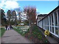 Spring 2014 at Wisley (lxiii)