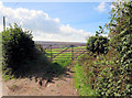 Farm gateway south of Stancombe Cross