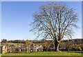 View from footpath through Over Norton