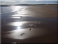 NT6480 : Coastal East Lothian : Footprints, Belhaven Sands by Richard West