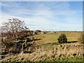 View of Medomsley Grange Farm