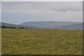 SS9437 : West Somerset : Grassy Field by Lewis Clarke