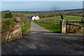 Broccoli Bottom near Manton