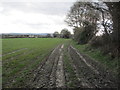 Footpath to Knowe Top