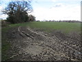  Footpath to Badgers Wood and London Copse