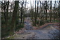 Looking down from the slag heap in Middleton Park