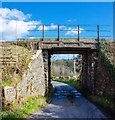 Rail bridge by High Boreland