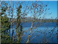 Ballylough lake east of Annsborough