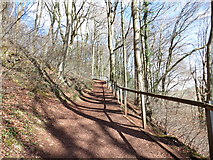 ST1382 : Llwybr Castell Castell Coch Path by Alan Richards