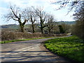 Country lane near the village of Wing