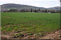 Farmland opposite Tredilion Park