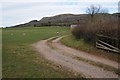 SO3117 : Farmland near Dan-y-skirrid by Philip Halling