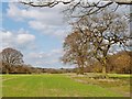 Looking North from Seamans Lane, near the village of Stock, Essex