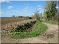 Ditch beside Foxes Lane, Mendham