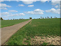 Footpath to Mundy