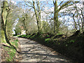 Approach to Foxes Lane on Hollow Lane