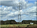 TQ3136 : Pylon on UK Power Networks (?) route by Robin Webster