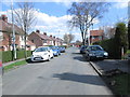 Beechwood Avenue - looking back