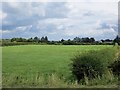 Fields off Edenbane Road