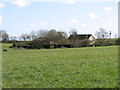 View towards Glenmore Farm