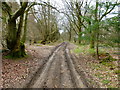 Byway going west to Boyneswood Road