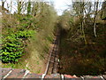 Watercress Line going east from Four Marks