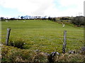 Beltonanean Townland