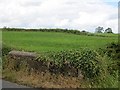 Fields off Churchtown Road