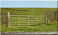 Field gate, Ballymenagh near Holywood