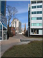 Manor House Drive and Christchurch spire