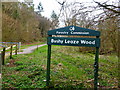 Entrance to Bushy Leaze Wood