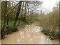 Stream through Lydiard Park