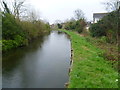 The Longford River