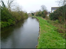 TQ1371 : The Longford River by Marathon