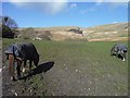 Bridgend District : Countryside Scenery