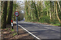 Old Lane, Effingham Junction