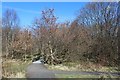 Clyde Walkway near Erskine Harbour