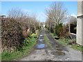 The lane to Coed yr Hendy