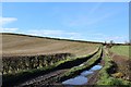 Farm track east of Broom Hill