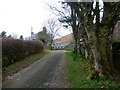 View Of Lane To Gorrenberry